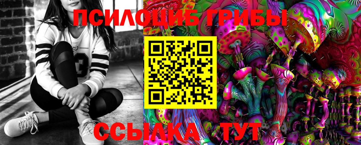Михайловск  Галлюциногенные грибы GOLDEN TEACHER  Вход с VPN 