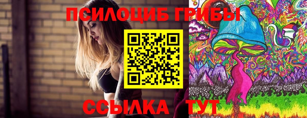 Псилоцибиновые грибы Psilocybe Михайловск